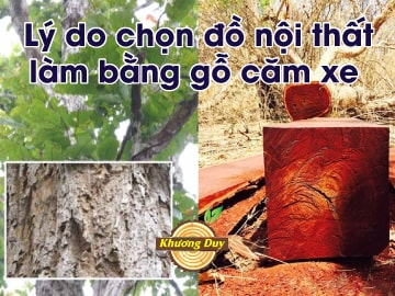 NHỮNG LÝ DO TUYỆT VỜI KHIẾN BẠN MUỐN MUA NỘI THẤT BẰNG GỖ CĂM XE